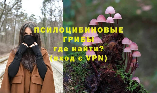 дмт Коряжма