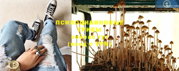 дмт Корсаков
