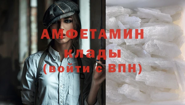 хмурый Нестеровская