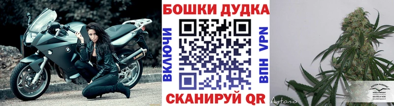 Конопля AK-47  Фатеж 